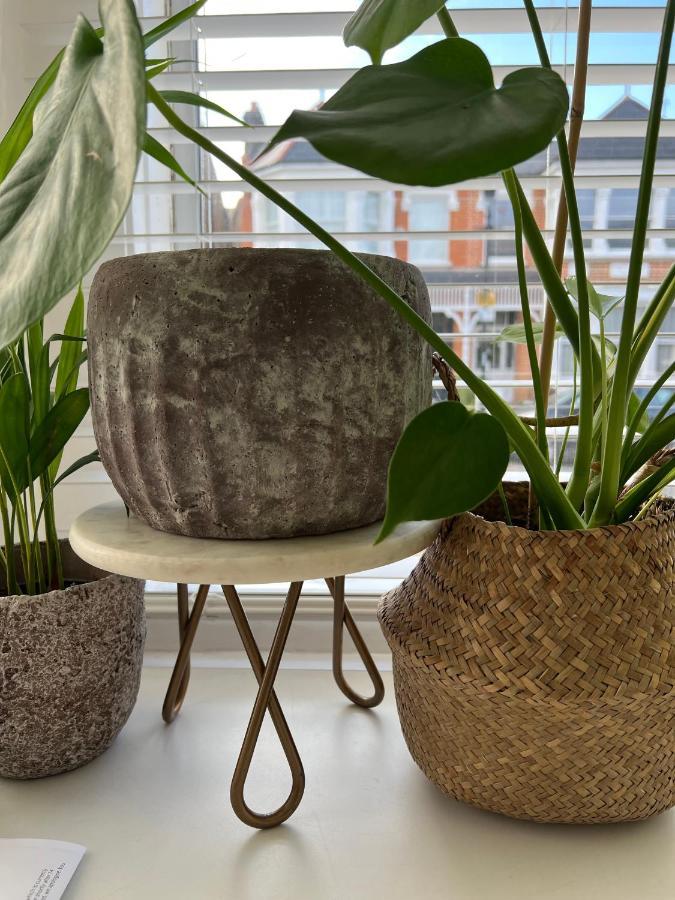 Gorgeous 1 Bed Flat Near Richmond Bridge. Leilighet Eksteriør bilde